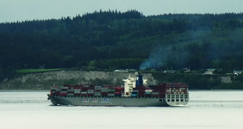 IRENES WAVE Container Ship IMO 9331165 photo 3