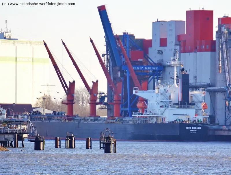 THOR MONADIC Bulk Carrier IMO 9331220 photo 2