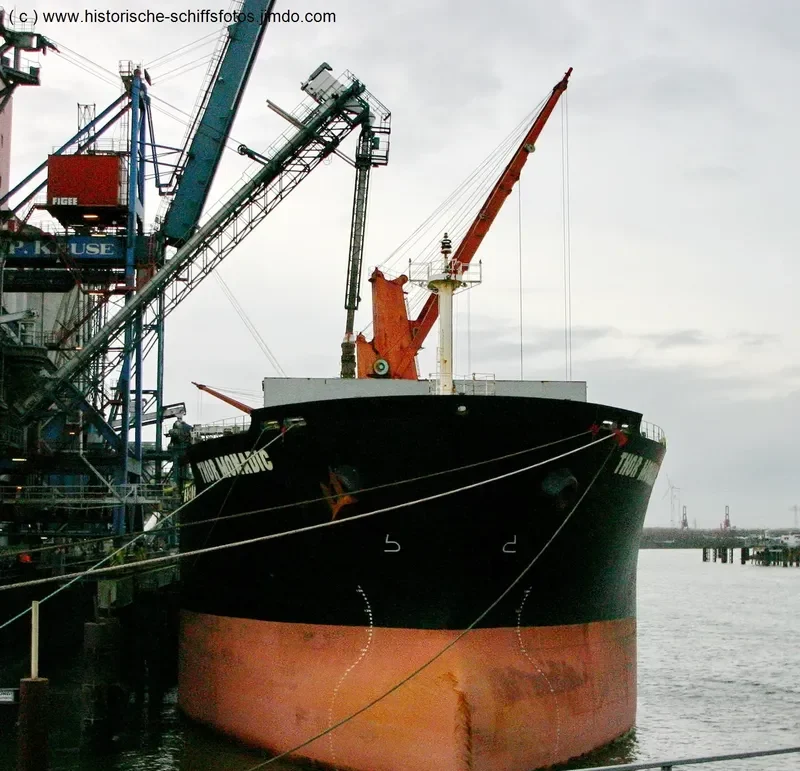 THOR MONADIC Bulk Carrier IMO 9331220 photo 4