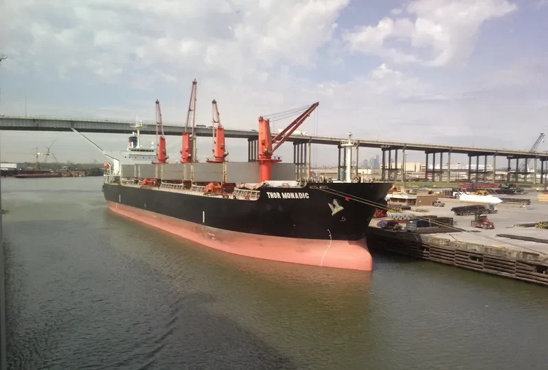 THOR MONADIC Bulk Carrier IMO 9331220 photo 6