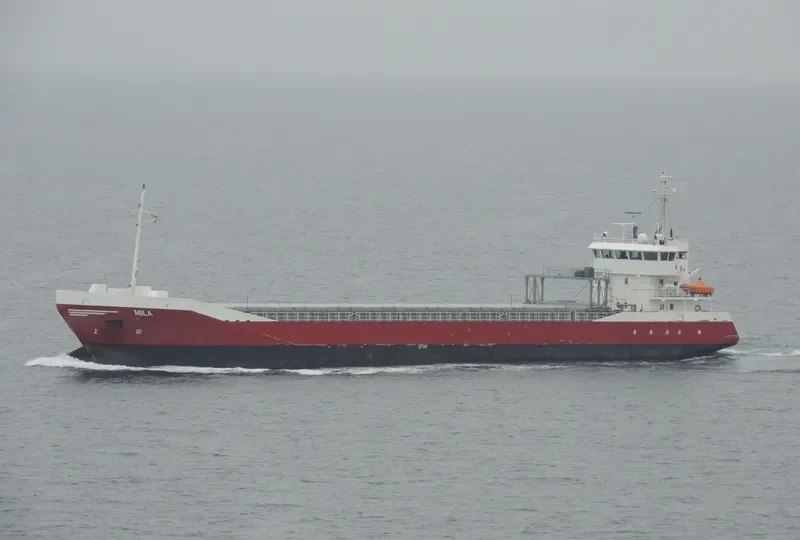 MILA General Cargo IMO 9331335