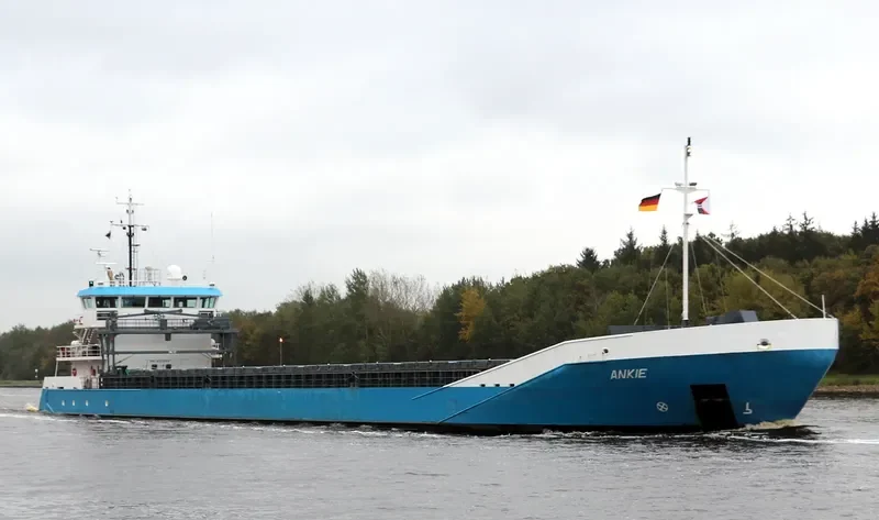 ANKIE General Cargo IMO 9331359 photo 10