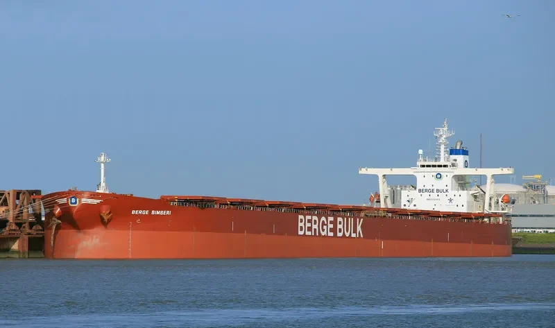 BERGE BIMBERI Bulk Carrier IMO 9331414 photo 8