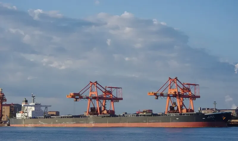 SUNNY MOREBAYA Bulk Carrier IMO 9331426 photo 4