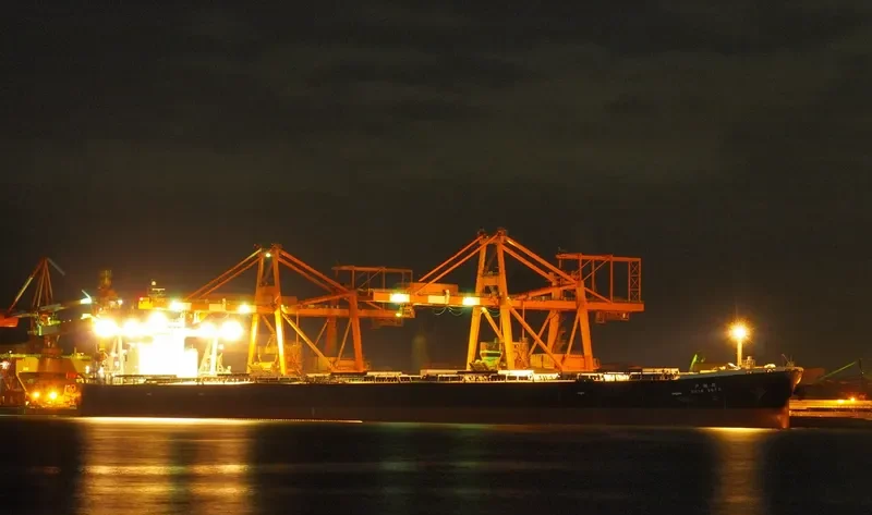 SUNNY MOREBAYA Bulk Carrier IMO 9331426 photo 7