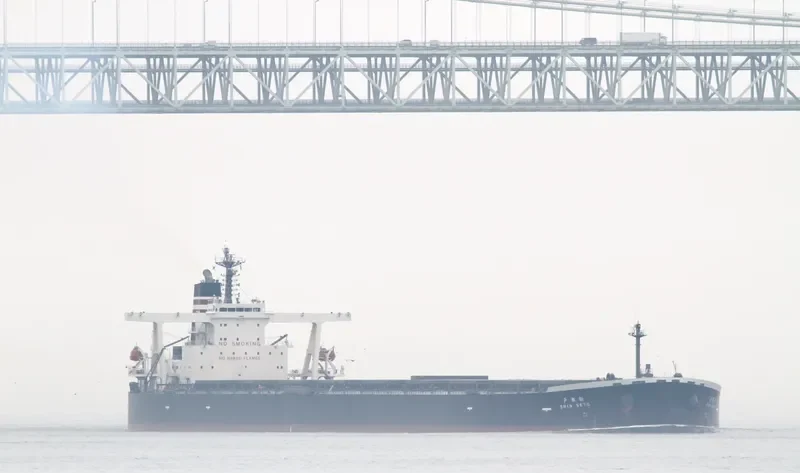 SUNNY MOREBAYA Bulk Carrier IMO 9331426 photo 8