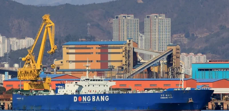 DONGBANG ACE Ro-Ro IMO 9331440 photo 2