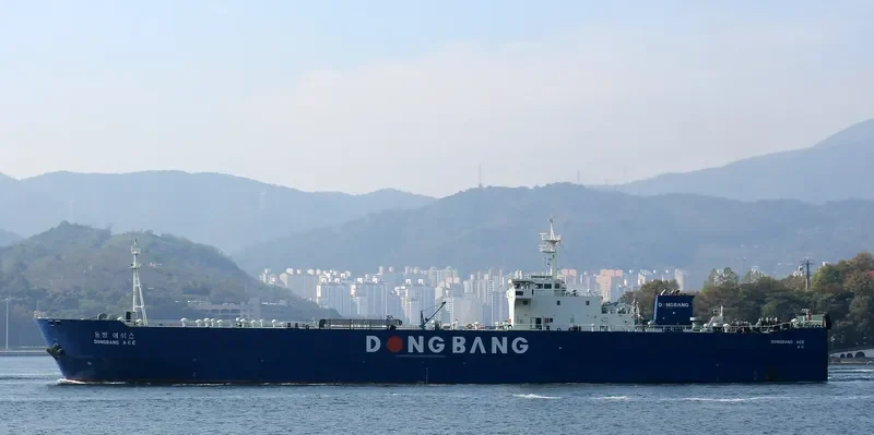 DONGBANG ACE Ro-Ro IMO 9331440 photo 5