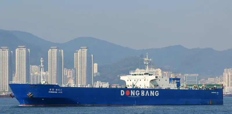 DONGBANG ACE Ro-Ro IMO 9331440 photo 7