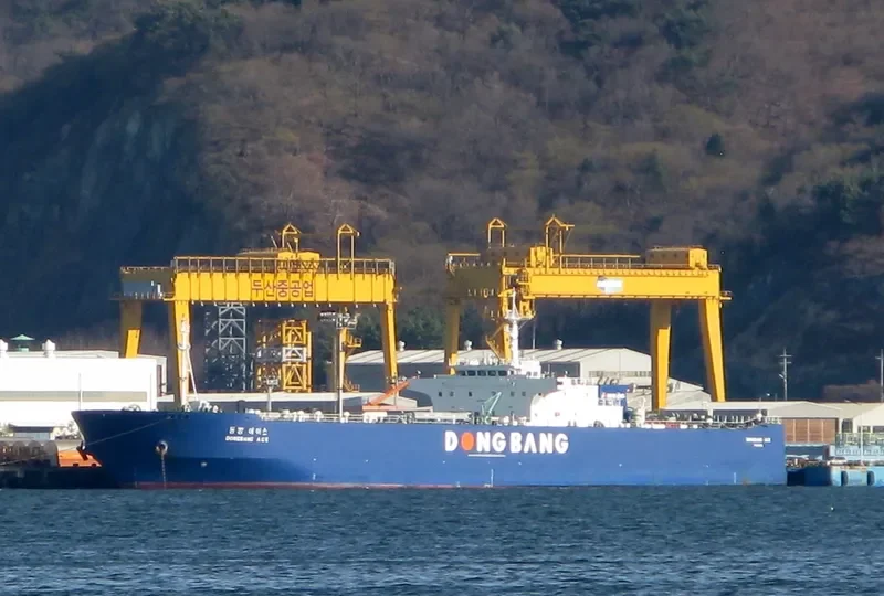 DONGBANG ACE Ro-Ro IMO 9331440 photo 10