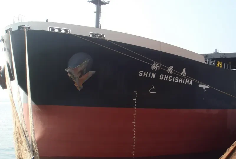 SHIN OHGISHIMA Bulk Carrier IMO 9331517 photo 7