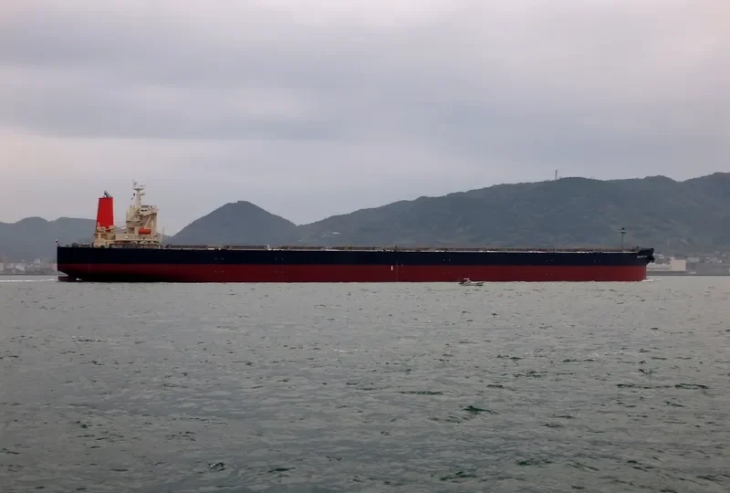 PACIFIC OAK Bulk Carrier IMO 9331531 photo 2