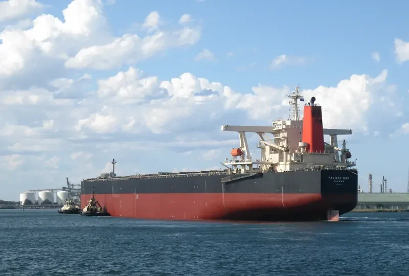 PACIFIC OAK Bulk Carrier IMO 9331531 photo 3