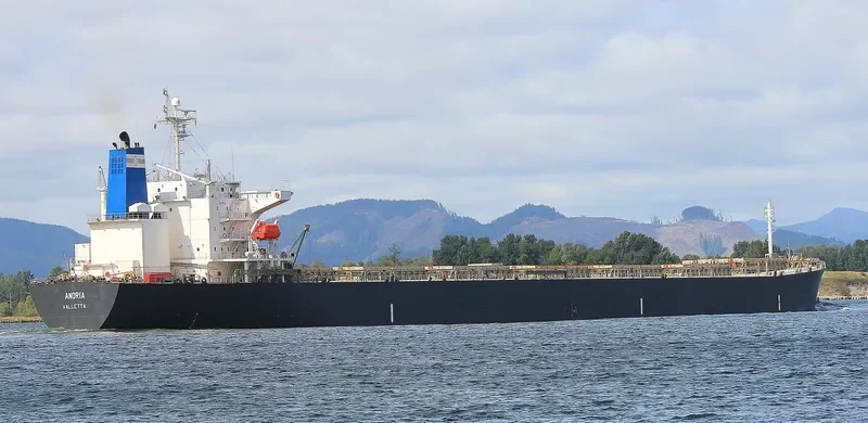 ANDRIA Bulk Carrier IMO 9331543 photo 2