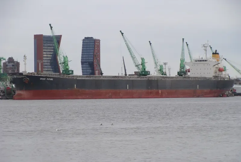 ANDRIA Bulk Carrier IMO 9331543 photo 7
