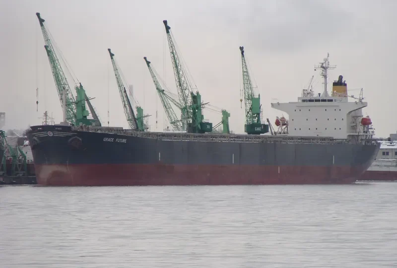 ANDRIA Bulk Carrier IMO 9331543 photo 8
