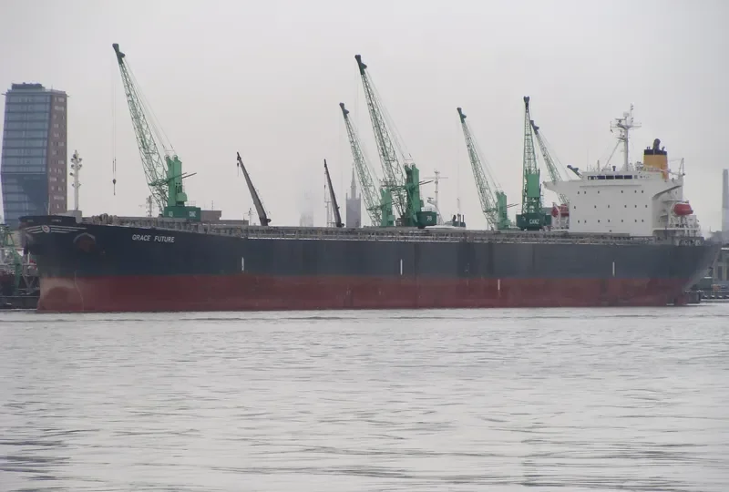 ANDRIA Bulk Carrier IMO 9331543 photo 9