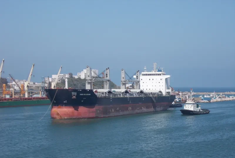 RED DIAMOND Bulk Carrier IMO 9331713 photo 4