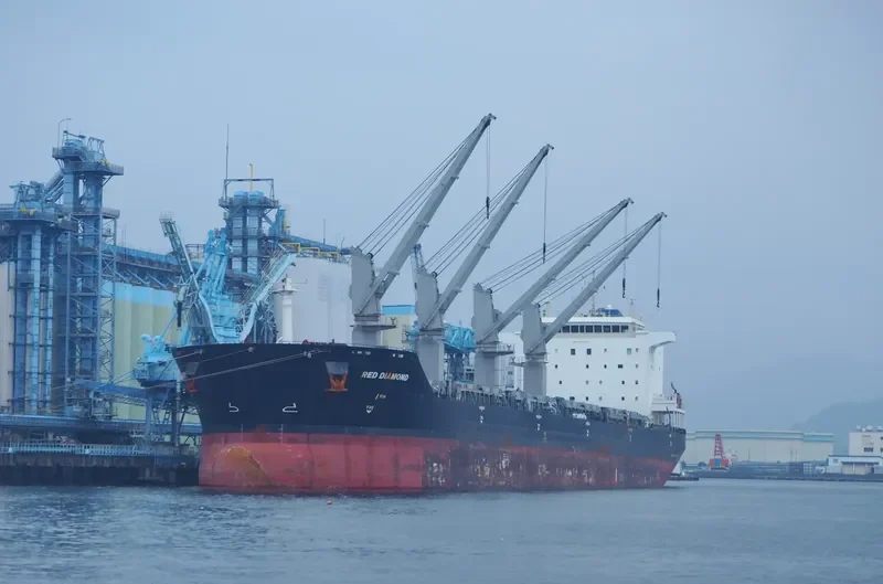 RED DIAMOND Bulk Carrier IMO 9331713 photo 5