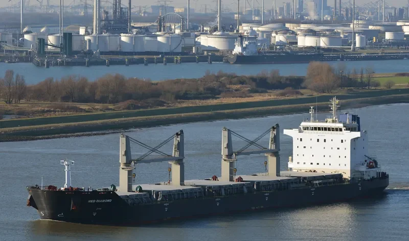 RED DIAMOND Bulk Carrier IMO 9331713 photo 11