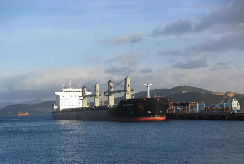 RED DIAMOND Bulk Carrier IMO 9331713 photo 20