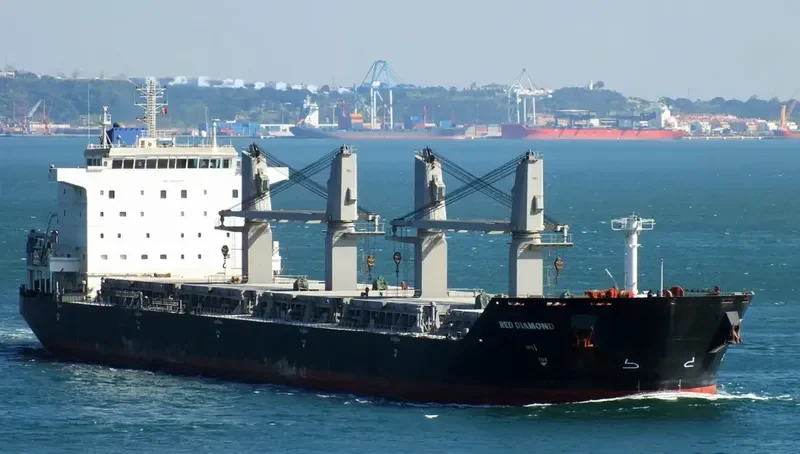 RED DIAMOND Bulk Carrier IMO 9331713 photo 24