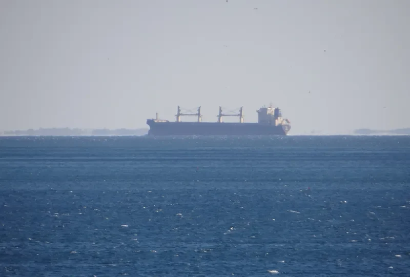 RED DIAMOND Bulk Carrier IMO 9331713 photo 36