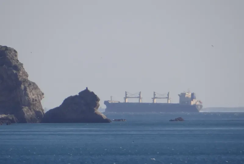 RED DIAMOND Bulk Carrier IMO 9331713 photo 37