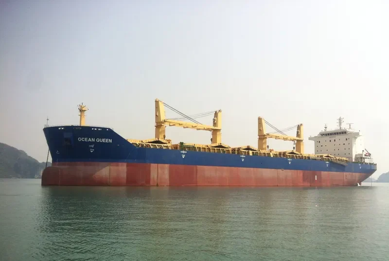 TM HAI HA 988 Bulk Carrier IMO 9331751 photo 2
