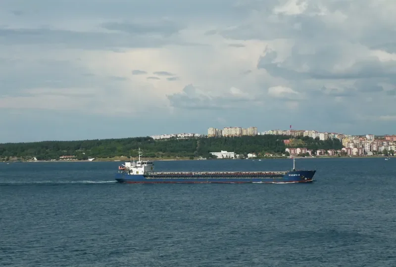 RUSICH 4 General Cargo IMO 9331799 photo 6