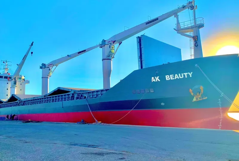 AK BEAUTY General Cargo IMO 9331804 photo 6