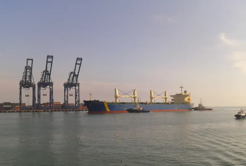 THERESE SELMER Bulk Carrier IMO 9331866