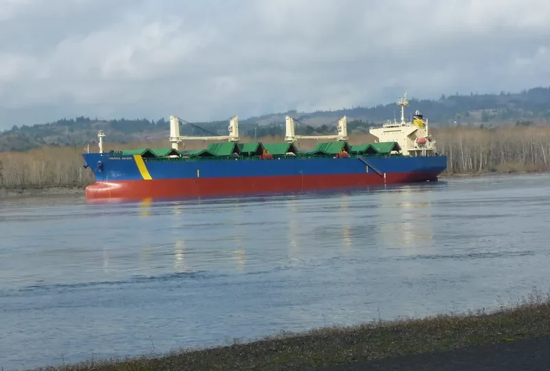 THERESE SELMER Bulk Carrier IMO 9331866 photo 3