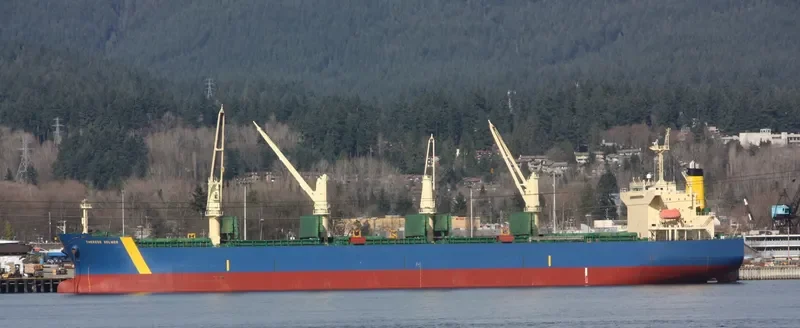 THERESE SELMER Bulk Carrier IMO 9331866 photo 4