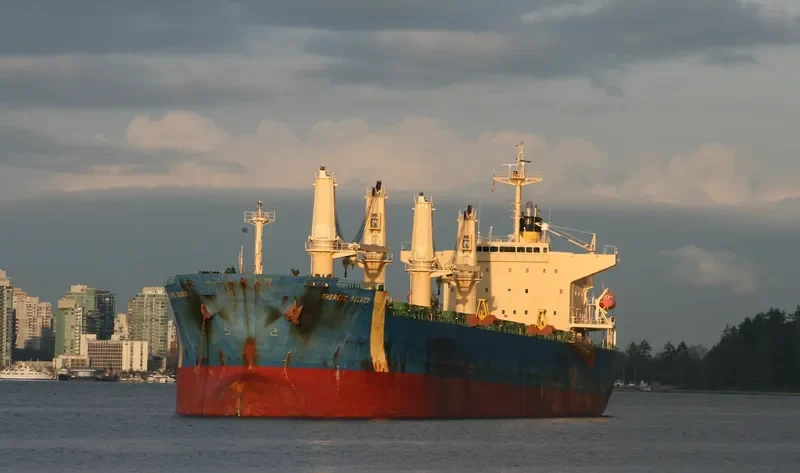 THERESE SELMER Bulk Carrier IMO 9331866 photo 7