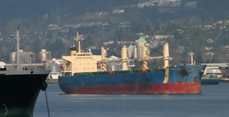 THERESE SELMER Bulk Carrier IMO 9331866 photo 8