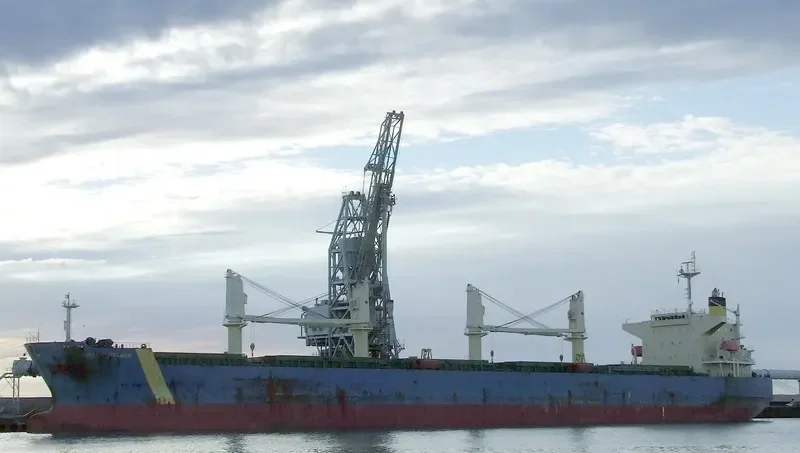 THERESE SELMER Bulk Carrier IMO 9331866 photo 9