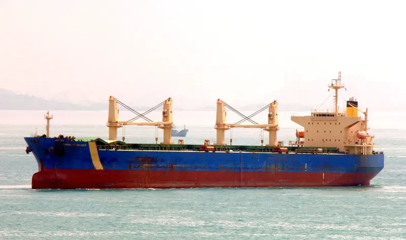 THERESE SELMER Bulk Carrier IMO 9331866 photo 10