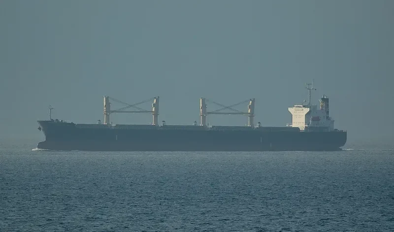 VINALINES SUNRISE Bulk Carrier IMO 9331878 photo 2