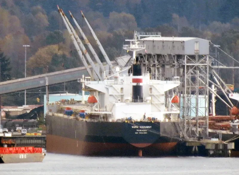 ORION Bulk Carrier IMO 9331880 photo 6