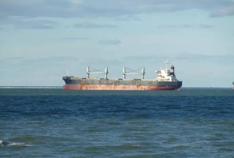 ORION Bulk Carrier IMO 9331880 photo 8