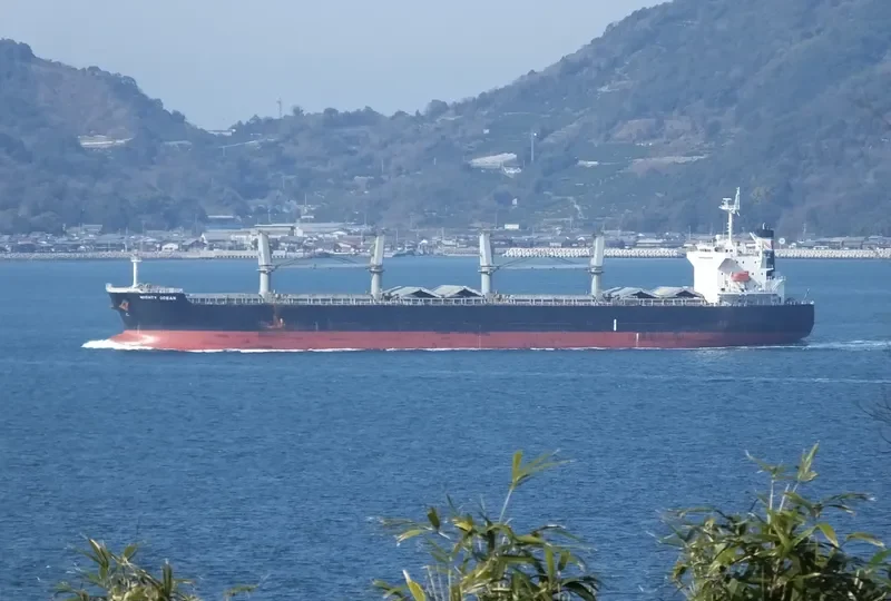 HAI LONG Bulk Carrier IMO 9331892