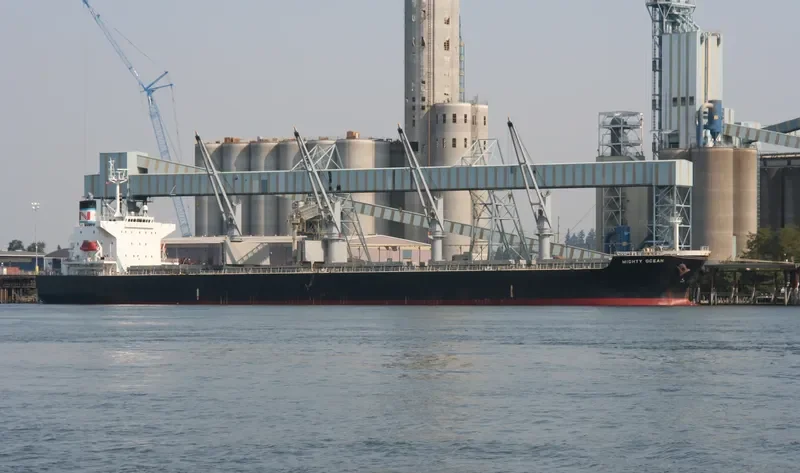 HAI LONG Bulk Carrier IMO 9331892 photo 2