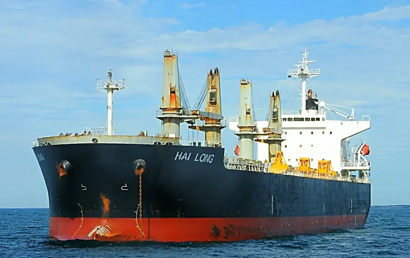 HAI LONG Bulk Carrier IMO 9331892 photo 6