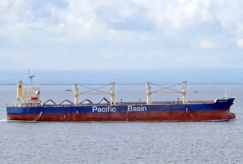 COLUMBIA RIVER Bulk Carrier IMO 9331907 photo 5
