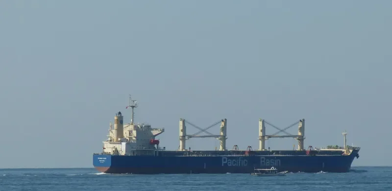 COLUMBIA RIVER Bulk Carrier IMO 9331907 photo 9
