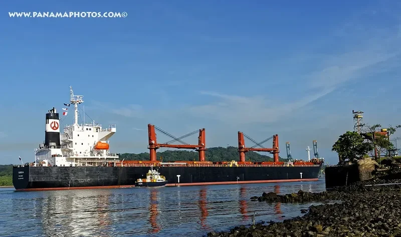 TAXIDIARA Bulk Carrier IMO 9331919 photo 2