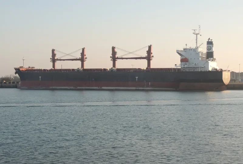 TAXIDIARA Bulk Carrier IMO 9331919 photo 9