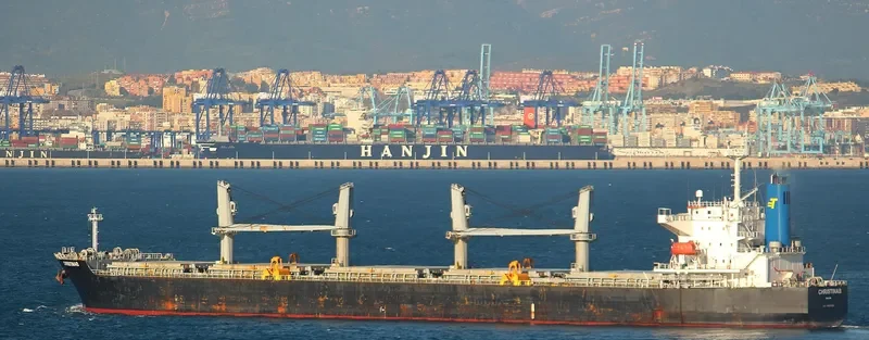 CHRISTINAB Bulk Carrier IMO 9331921 photo 4
