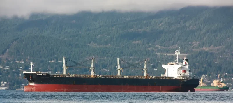 CHRISTINAB Bulk Carrier IMO 9331921 photo 5